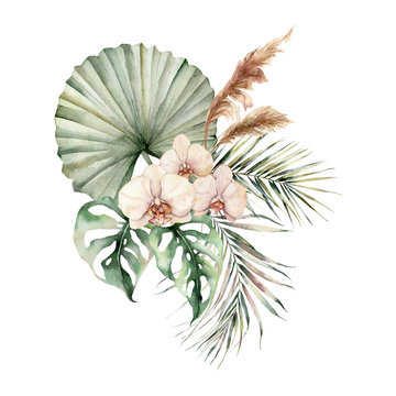 Watercolor tropical bouquet with orchids and palm leaves. Hand painted flowers, coconut and monstera leaves, pampas grass. Floral illustration isolated on white background for design, print.