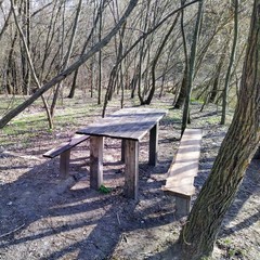 Wooden benches and table in forest at spring