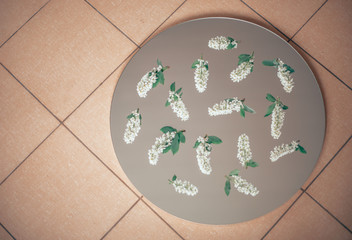 Cherry blossom with green leaves on the mirroron the tile floor . Top view