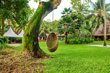 Beach swing egg chair at Seychelles
