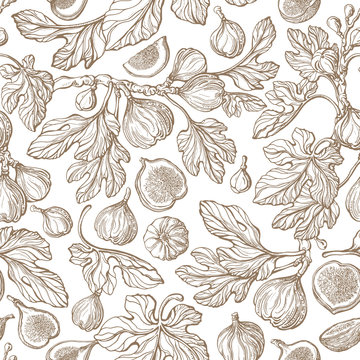 Fig seamless pattern Vector antiquity garden Print
