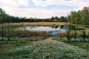 Lake near forest at sunny spring day