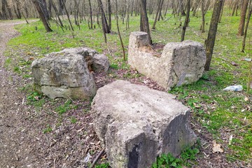 Concrete blocks at spring forest