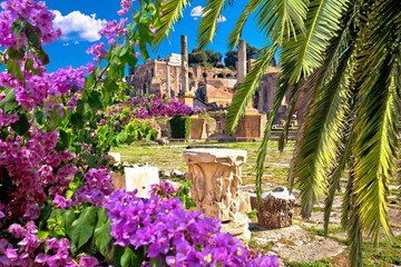Ancient Rome Forum Romanum and Palatine hill scenic palm and flower view