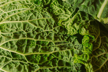 Green cabbage texture and background for design. Organic pattern close up view..  