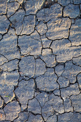 Dry gray ground close up.