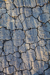 Dry gray ground close up.