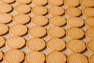 Biscuit pattern and background for design. Top view. 