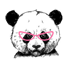 Vector illustration of a panda bear in pink fashionable glasses. Can be used for greeting card, t shirt design, print or poster.