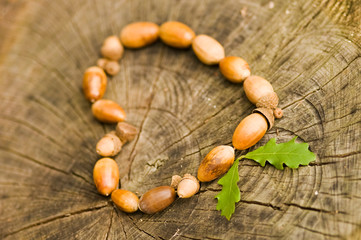 Heart made of fresh brown Oak nuts - Acorn - on textured background of cutted stump. Design element for autumn love, Valentine's Day, Mother's Day and other related themes. Top view