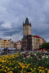 Prague Astronomical Clock with flowers in the foreground on a cloudy day in spring.