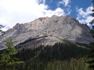 Obraz premium KODAK Digital Still Camera