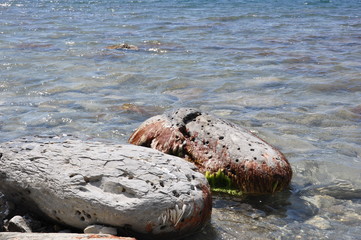 texture of sea stones and algae on the sea