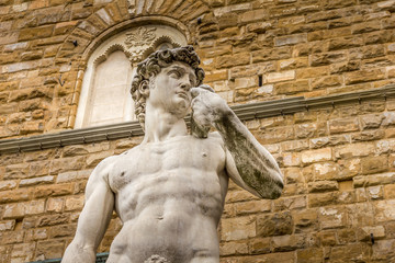 Replica of Michelangelo's David statue in the Piazza della Signoria, Florence, Italy