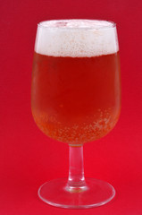 Verre de bière blonde close-up sur fond rouge