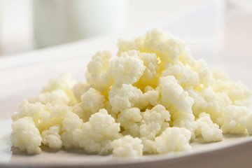 Milk kefir grains in plate  detail of grains