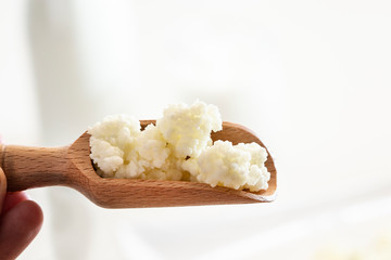 Kefir grains on a wooden spoon