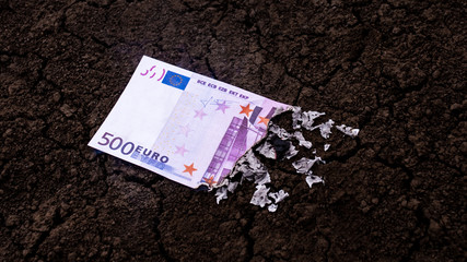 500 euro banknotes burn in the fire