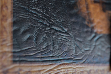 close up of a snake skin