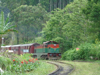 train on the railway