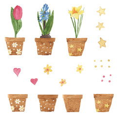 Watercolor potted red tulip, blue hyacinth, yellow daffodil. Spring flowers collection with elements. Hand drawn illustration isolated on white background. Clip art.