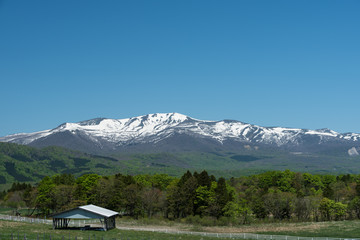 日本　残雪の栗駒山と高原の牧場