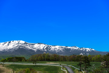 日本　残雪の栗駒山と高原の牧場