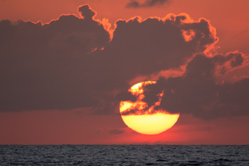 Sol