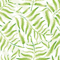 Fern vector seamless pattern background. Hand drawn forest plant frond backdrop. Delicate green white overlapping botanical foliage design. Dense all over print for nature health concept packaging