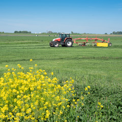 Obraz premium tractor with grass turner in green meadow under blue sky in holland
