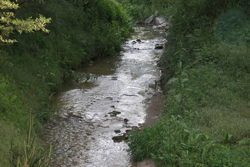 wiosna trawa rzeka woda wiosna