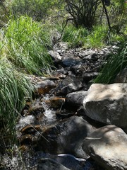 acuático, río, arroyo, naturaleza, cascada, bosque, verde, paisaje, roca, árbol, montagna,...