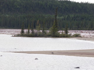 KODAK Digital Still Camera