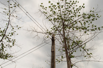 high voltage power lines against cloudy gray sky