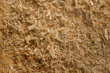 Sawdust close-up. Shallow depth of field.