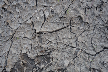 Cracked natural soil background.