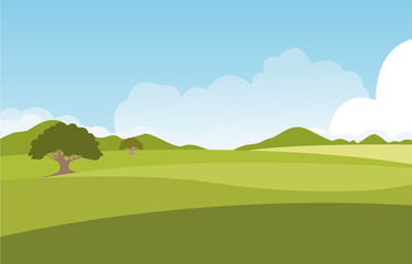 Summer green fields with grass,trees,white cloud and blue sky . background landscape.