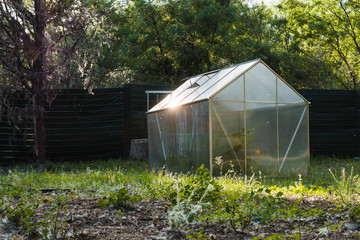 Greenhouse and orchard in a garden
