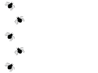 Spiders on Halloween. Small vector spiders. 