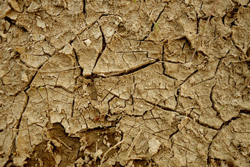 Cracked natural soil background.