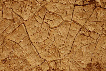 Cracked natural soil background.