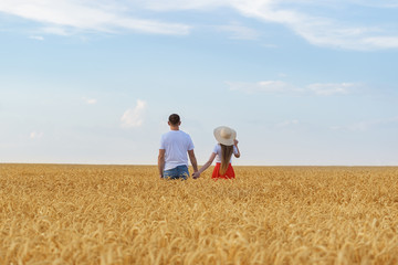 Naklejka na ściany i meble Couple holding hands and standing in wheat field. Rear view. Blue sky, field and horizon