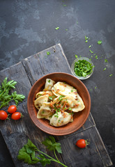 Dumplings with potato filling. Dumplings in a clay plate. Top view. Free space for text.