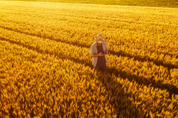 Wheat farmer with drone remote controller in field