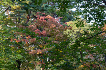 Suburb of japan After the epidemic crisis COVID-19,or Corona Viruses.