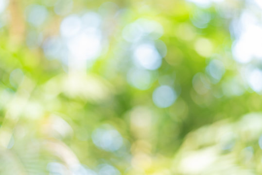 Green blur and bokeh abstrack background
