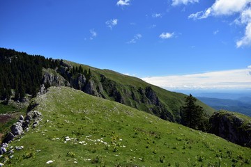 Naklejka premium horizon seen from above in top of the mountain on summer day with white clouds and green grass