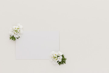 Minimal style photography. White flowers and business card ,natural creative composition top view background with copy space for your text. Flat lay.