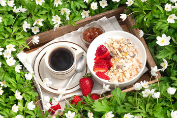 Summer picnic on a sunny day. Breakfast on green grass in the garden with white spring flowers...