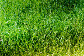 Natural blur pattern